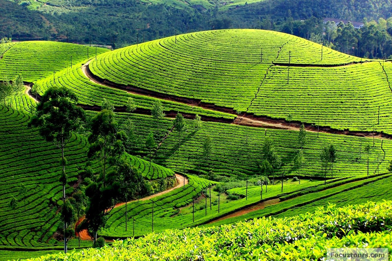 BANGALORE–MYSORE–OOTY-COONOOR-KODAIKANAL-BANGALORE-6 NIGHTS & 7 DAYS