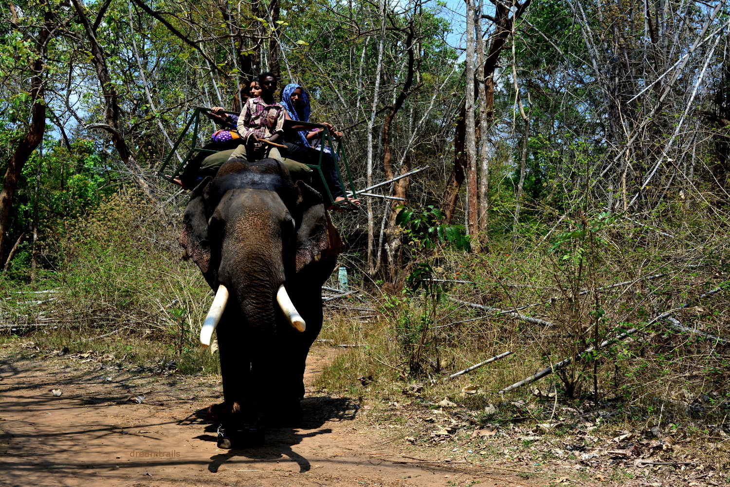 BANGALORE–MYSORE–OOTY-COONOOR-BANGALORE-4 NIGHTS 5 DAYS - Image 2