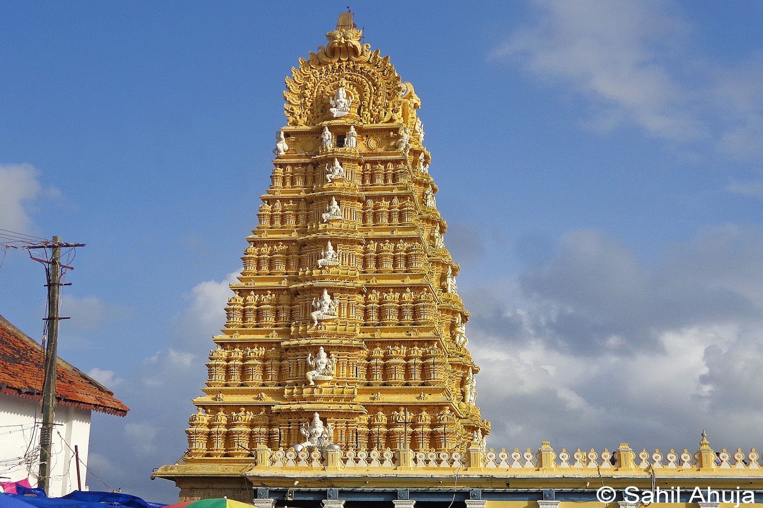 BANGALORE–MYSORE–OOTY-COONOOR-KODAIKANAL-BANGALORE-TIRUPATHI