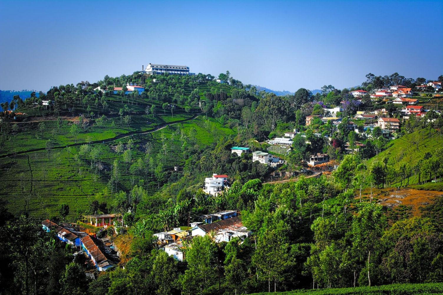 BANGALORE – MYSORE – WAYANAD – OOTY – BANGALORE - 6 NIGHTS & 7 DAYS - Image 3