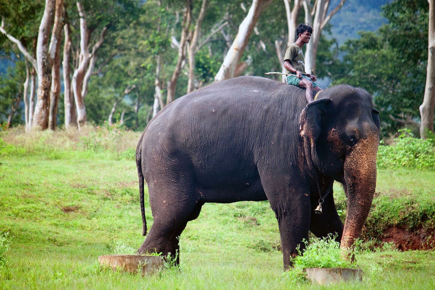 BANGALORE – MYSORE – WAYANAD – OOTY – BANGALORE - 6 NIGHTS & 7 DAYS - Image 2